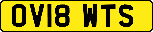 OV18WTS