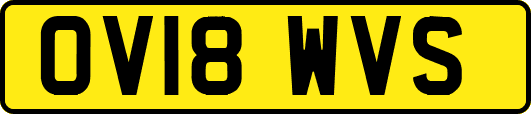 OV18WVS