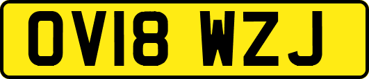 OV18WZJ
