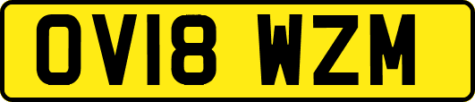 OV18WZM
