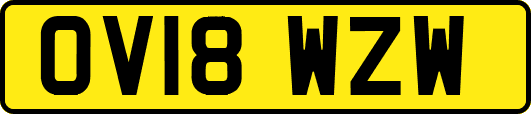 OV18WZW