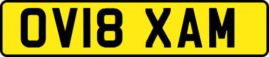 OV18XAM
