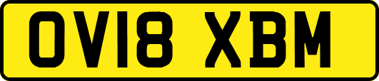 OV18XBM