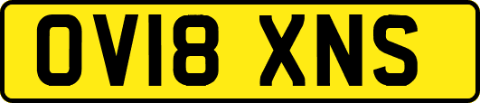 OV18XNS
