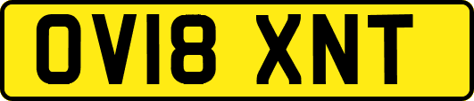 OV18XNT