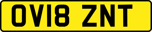 OV18ZNT