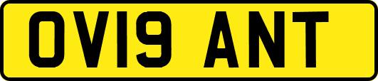 OV19ANT
