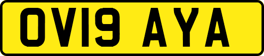 OV19AYA