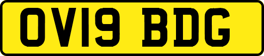 OV19BDG