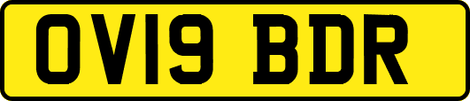 OV19BDR