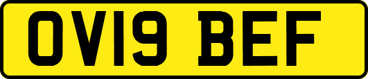 OV19BEF