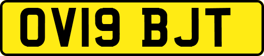OV19BJT