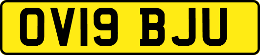 OV19BJU