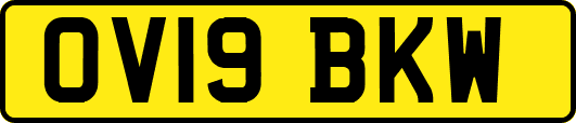 OV19BKW