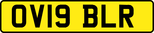 OV19BLR
