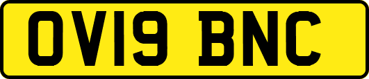 OV19BNC
