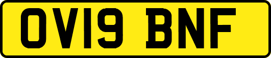OV19BNF