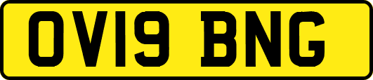 OV19BNG