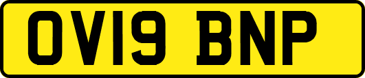 OV19BNP