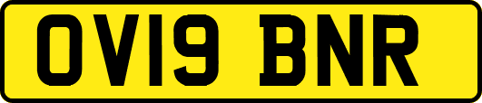 OV19BNR
