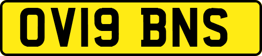 OV19BNS