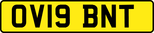 OV19BNT