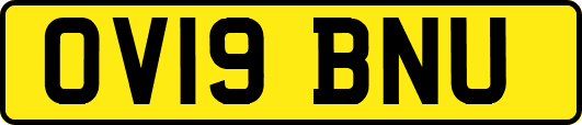 OV19BNU