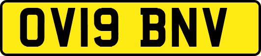OV19BNV