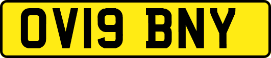 OV19BNY