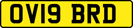 OV19BRD