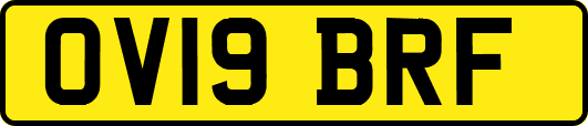OV19BRF