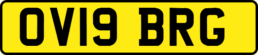 OV19BRG