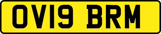 OV19BRM