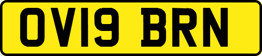 OV19BRN