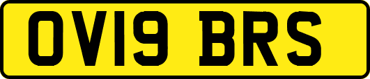 OV19BRS
