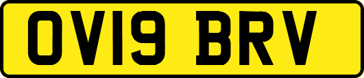 OV19BRV