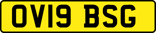 OV19BSG
