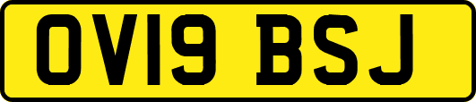 OV19BSJ