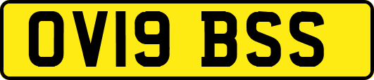OV19BSS