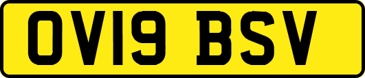 OV19BSV