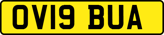 OV19BUA