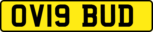 OV19BUD