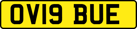 OV19BUE
