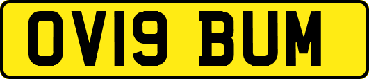 OV19BUM