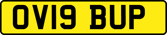OV19BUP