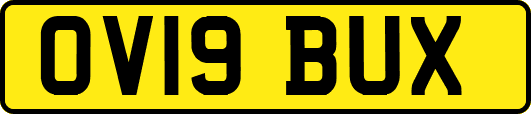 OV19BUX