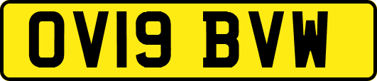 OV19BVW