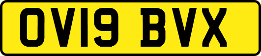 OV19BVX
