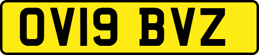 OV19BVZ