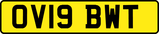 OV19BWT